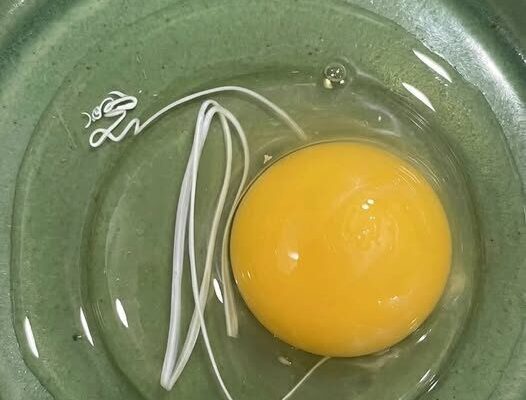 This morning, I woke up and decided to make fried eggs. – Dogrupara News