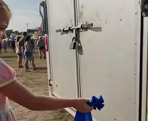 The Dog Grabbed The Girl’s Ribbon—Then Led Everyone Somewhere No One Expected – Dogrupara News