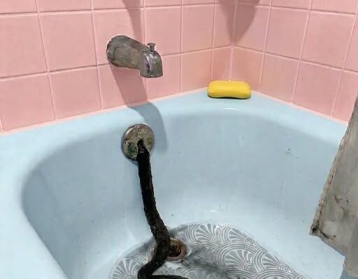 Woman Finds Terrifying Dark Shape Crawling From Bathtub Drain — Then Learns What It Really Is – Dogrupara News