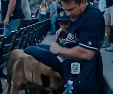 A Rogue K9 Rushed Toward My Son At A Packed Baseball Stadium. Then An Alert Appeared On The Jumbotron… –
