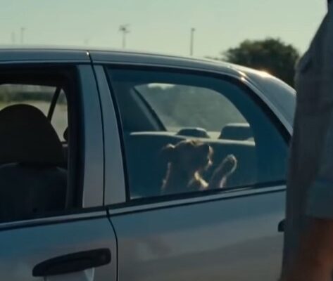 Part 2: A Baby Was Found Inside a Locked Car—What Happened Next Shocked Everyone – Dogrupara News