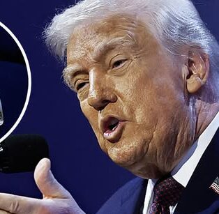 Trump explains the heavy bruise on his left hand came from ‘clipped it on the table’ – Dogrupara News