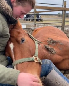 A Promise of Healing: Erin’s Lasting Touch – Dogrupara News