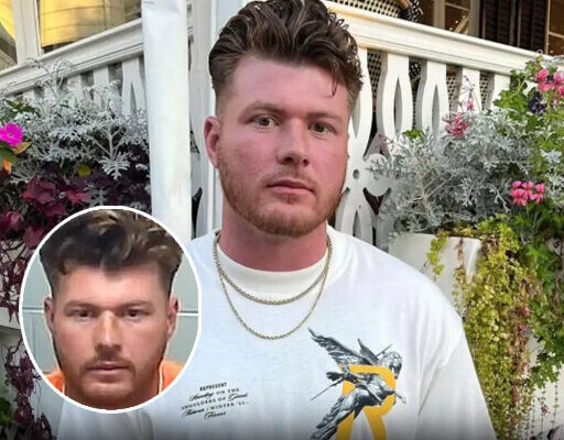 Father’s Reaction to Seagull Stealing Daughter’s Food Leads to Jail Sentence – Dogrupara News