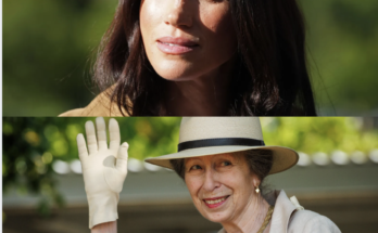 “THE GATE IS PERMANENTLY LOCKED!” PRINCESS ANNE JUST EXPOSED MEGHAN’S HIDDEN DOSSIER! – Openheadline24