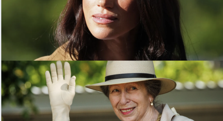 “THE GATE IS PERMANENTLY LOCKED!” PRINCESS ANNE JUST EXPOSED MEGHAN’S HIDDEN DOSSIER! – Openheadline24