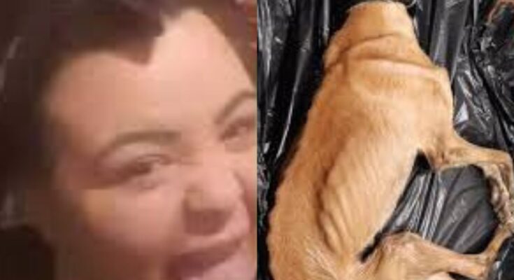 Woman Avoids Jail After Dog Found Starved to Death in Abandoned Flat, Sparking Public Outrage – Openheadline24