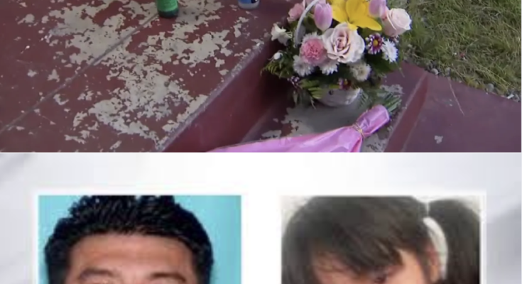SMALL TOWN SHOCKED AS INVESTIGATORS DISCOVER HIDDEN SECRETS IN COLD CASE – Openheadline24