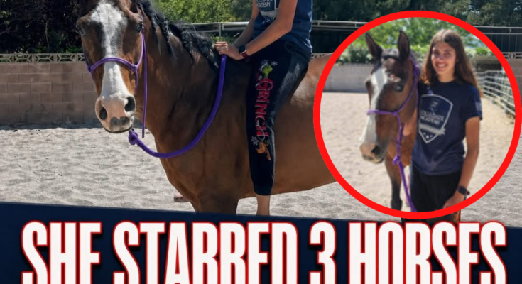 17-Year-Old Competitor Emily Grace Arrested for Brutally Slashing Three Valuable Horses at NBHA Vegas Super Show – Openheadline24