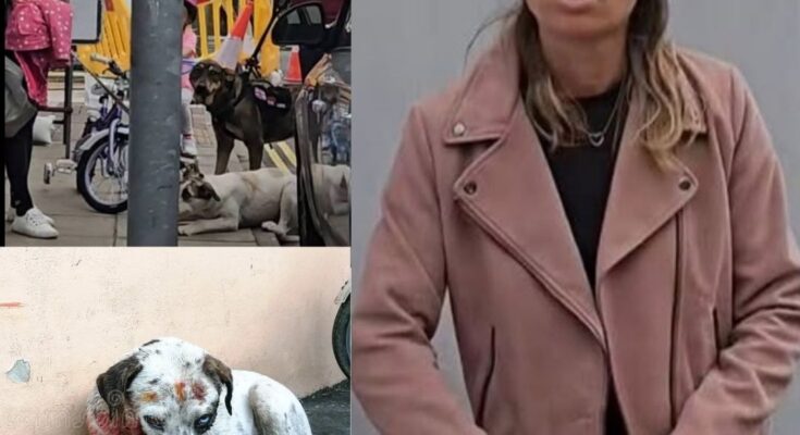 Public Outrage Erupts After Disturbing Video Appears to Show Woman Kicking Dog in Front of Young Child – Openheadline24
