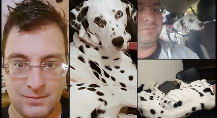 Pepper’s Final Goodbye Uncovered a Heartbreaking Story of Neglect and Suffering – Openheadline24