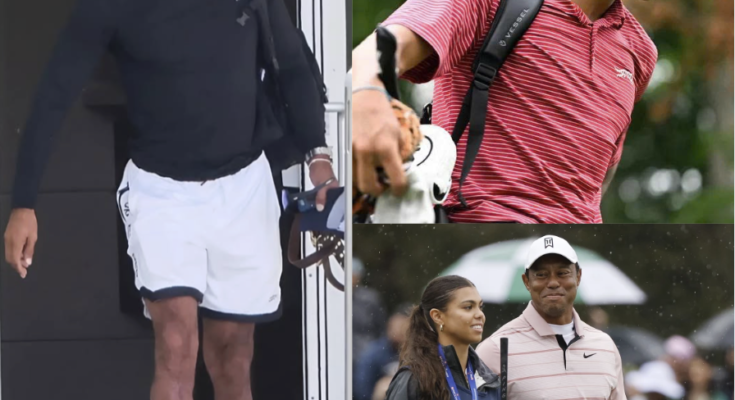 THE LESSONS TIGER WOODS HOPES TO PASS TO THE NEXT GENERATION – Openheadline24