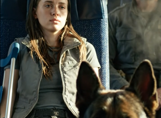 🐾 A Retired Military K9 Ignored Everyone on the Train—Until a Disabled Woman Sat Down Beside Him – Openheadline24
