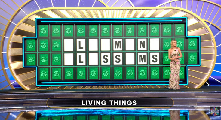 Wheel of Fortune Viewers Claim They Solved This Puzzle After Just Two Letter Reveals—And the Answer Had Everyone Smiling – Openheadline24