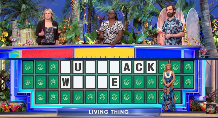 Wheel of Fortune Viewers Left Scratching Their Heads After Puzzle Reveals a Whale Many Had Never Heard Of – Openheadline24