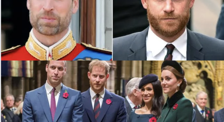 WILLIAM DENIES HARRY’S FINAL REQUEST AS KING CHARLES’S BATTLE TURNS DIRE! – Openheadline24