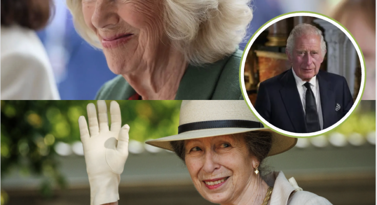 A NEW ROYAL DEVELOPMENT PUTS THE SPOTLIGHT ON PRINCESS ANNE! – Openheadline24