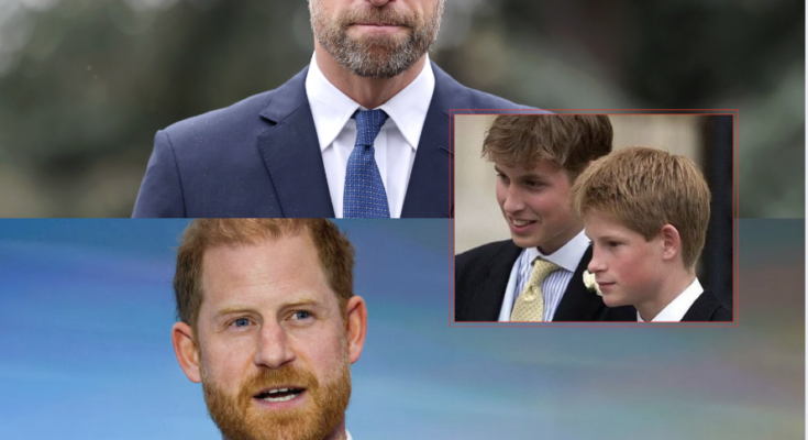 PRINCE WILLIAM WAS TOLD HE MUST MEET PRINCE HARRY DURING HIS UPCOMING UK TRIP… AND THE PERSON DEMANDING IT HAS SHOCKED EVERYONE 🇬🇧 – Openheadline24