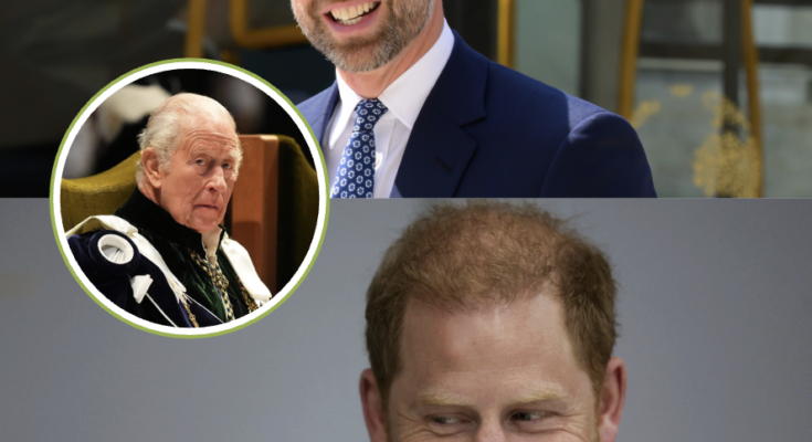 PRINCE WILLIAM WARNED HE ‘CAN’T AVOID’ HARRY’S UK VISIT — BUT THE REAL SHOCK IS THE TRAP HE IS WALKING INTO, THAT IS… 👑 – Openheadline24