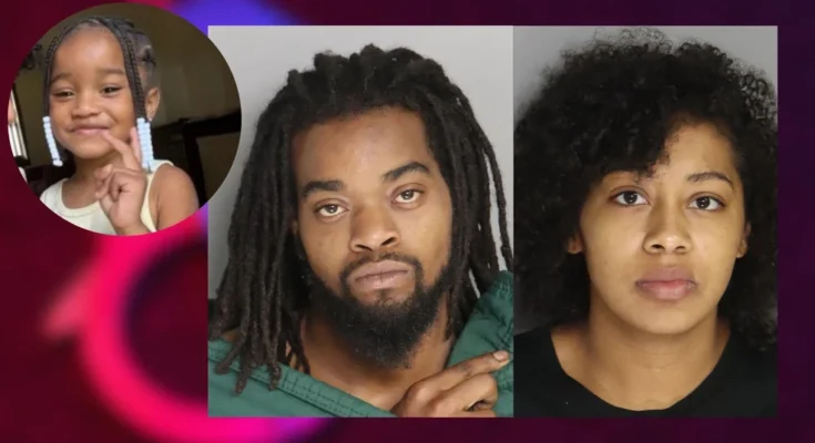Digital Footprints, Psychological Dissociation, and the Criminal Reconstruction of Domestic Homicide – Openheadline24