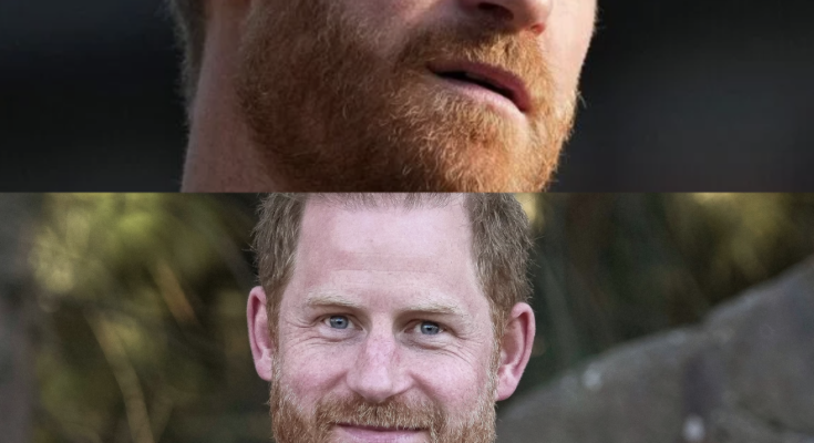 PRINCE HARRY WAS ASKED WHY HE STILL KEEPS HIS ROYAL TITLE… HIS SHARP RESPONSE LEFT THE HOST SPEECHLESS! – Openheadline24