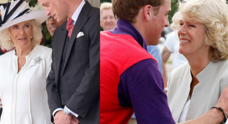 Deciphering the Shocking Alliance Between Prince William and Queen Camilla – Openheadline24