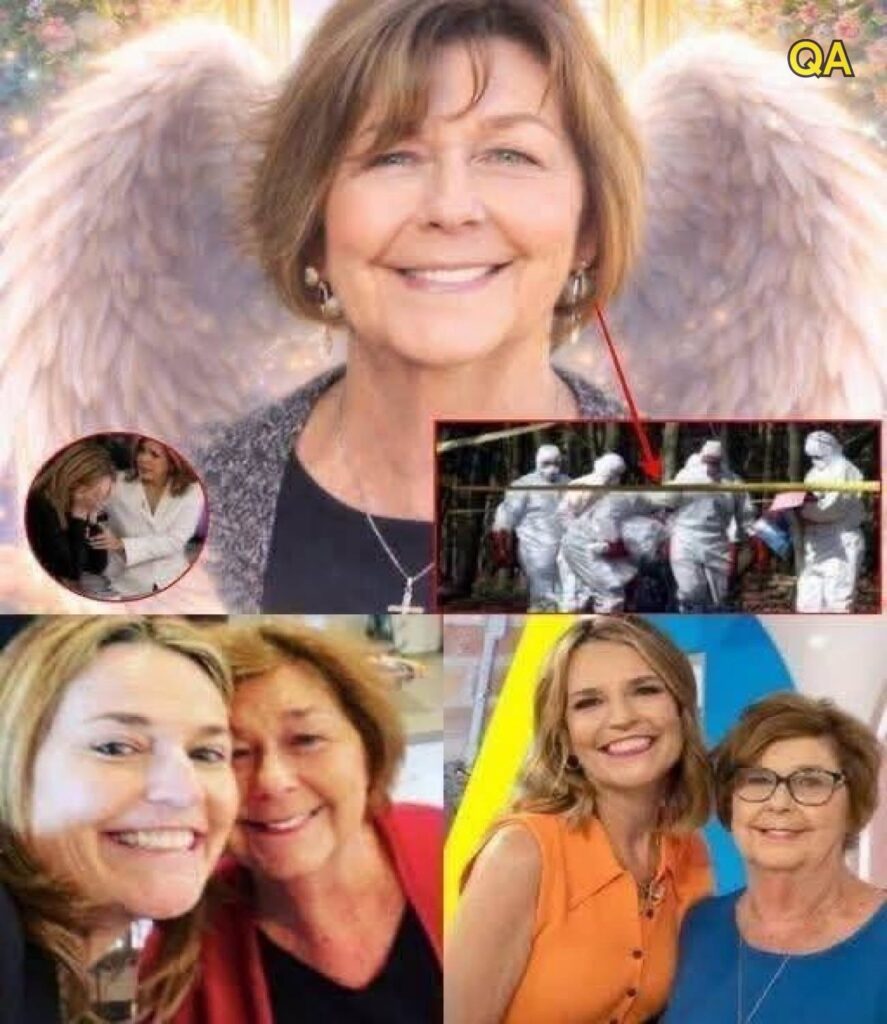 HT9. Family of Television Host Faces Emotional Search Effort After Elderly Mother’s Disappearance Sparks Nationwide Concern – story-veterans.com
