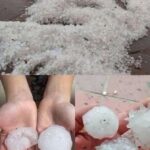 Giant hail recorded Tuesday evening in the town of… See more – story-veterans.com