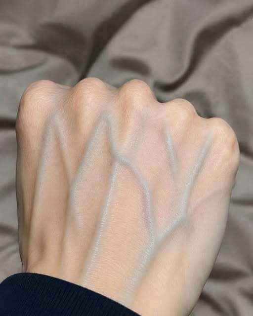 What Do Visible Veins Really Mean? Understanding the Causes and When to Pay Attention