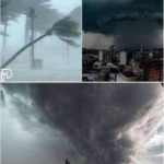 Urgent 3! Extremely dangerous storm just rolled over in B… See more – story-veterans.com