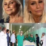 Elderly woman was hospitalized after being penetrated…See more – story-veterans.com