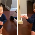 “This Toddler Talks to His Dad Like an Adult — You Won’t Believe What He Says!”