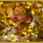 He Was Just an Audience Member… Then Asked for One Shot and Got the Golden Buzzer