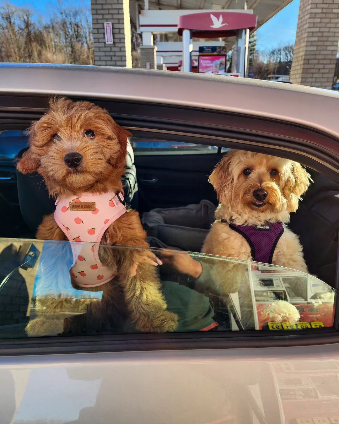 1. A Rich History