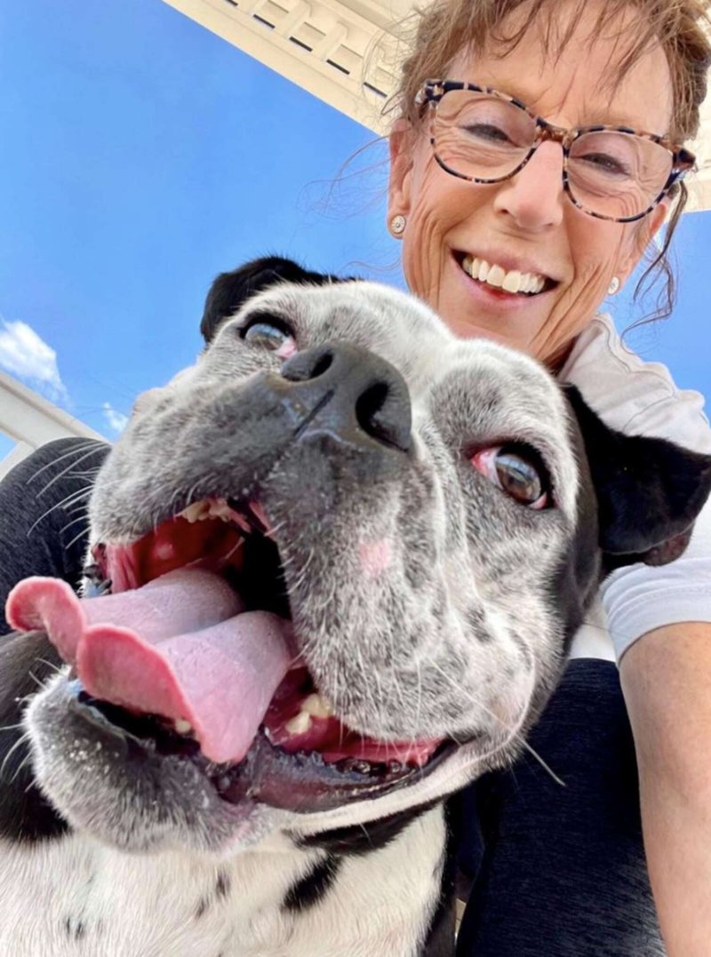 The abandoned dog never smiled until it met kind people – Amazing
