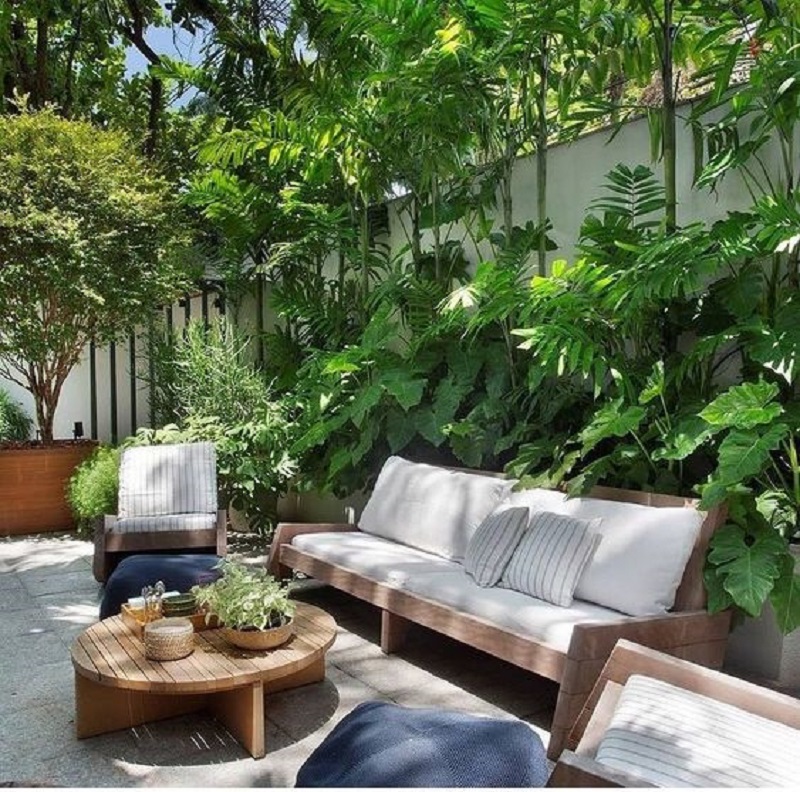 Embracing Indoor Greenery The Beauty of Houseplants – Amazing