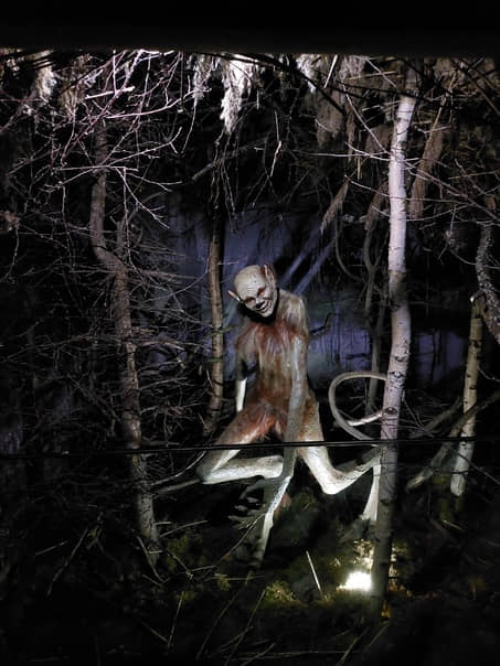 Alien-Like Creature Discovered by Farmer in Woods – Amazing