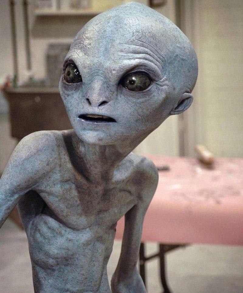 Alien Contact: What Happens If We Meet Extraterrestrial Life? – Amazing
