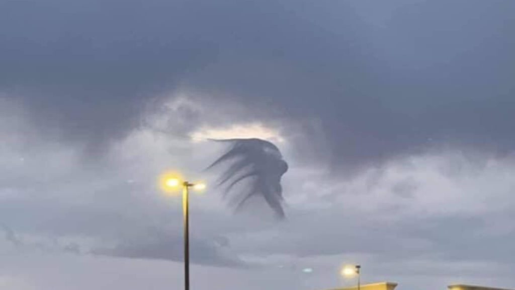 There have been incredibly mysterious moments surrounding a peculiar creature soaring through the skies in Mexico – Amazing