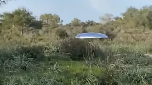 The enigma of the UFO (OVNI) in the forest: a mystery that defies logic In this captivating post, delve into the depths of the forest where a mysterious UFO (OVNI) struggles to hide from the relentless American police. – Amazing