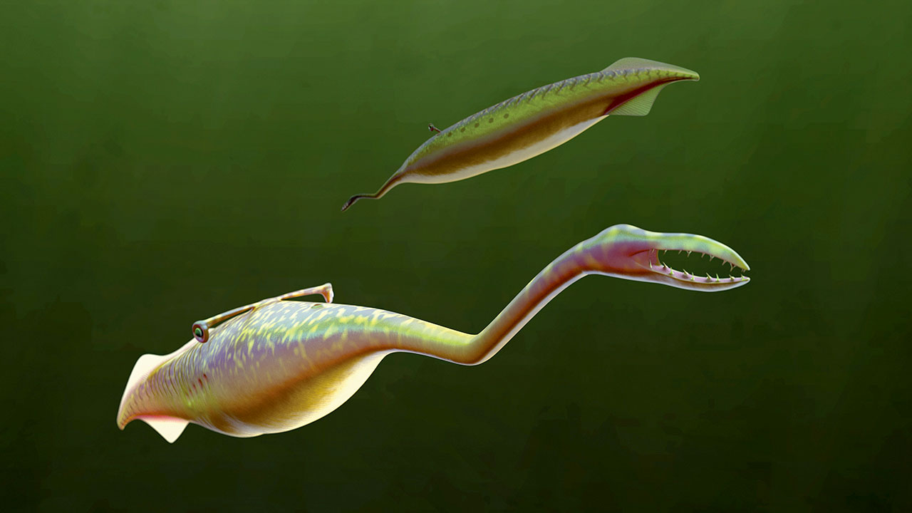 The Ancient 300-Million-Year-Old Tully Monster Was So Unusual That Scientists Still Don’t Know How to Classify It. – Amazing