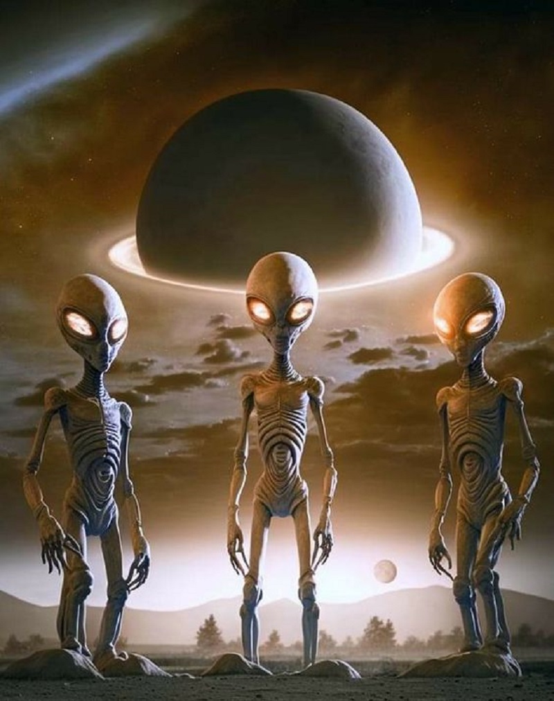 Alien Architecture and Habitats: What Are Their Living Spaces Like? – Amazing